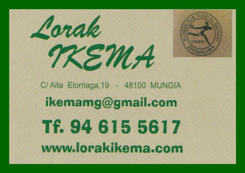 LORAK IKEMA (FLORISTERIA)